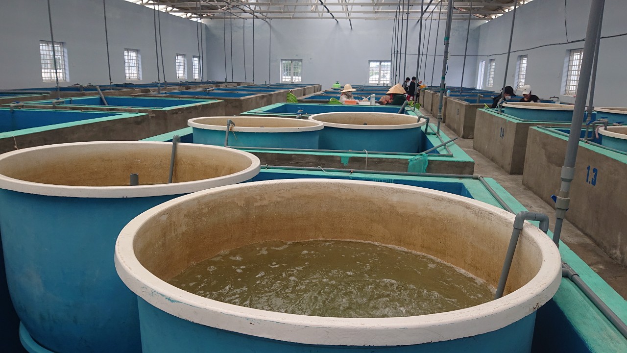 Hợp tác và Chuyển giao